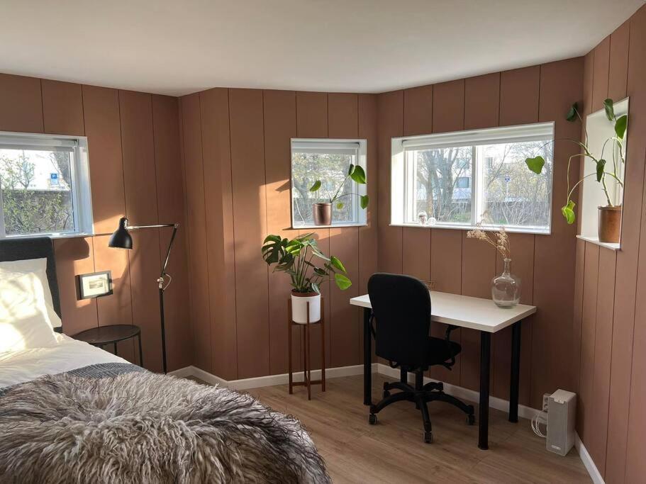 New Cozy Bohemian Dowtown Reykjavik Apartment Buitenkant foto
